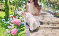 蜂蜜幸运草吻戏